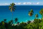 Palm trees and tropical vegetation on a beach in the Indian Ocean Seychelles Coastal Print